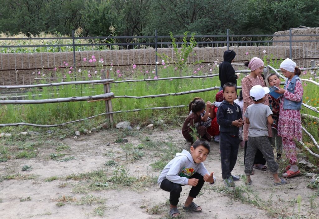 kids playing in a backyard