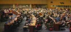 A group of people seated at the United Nations