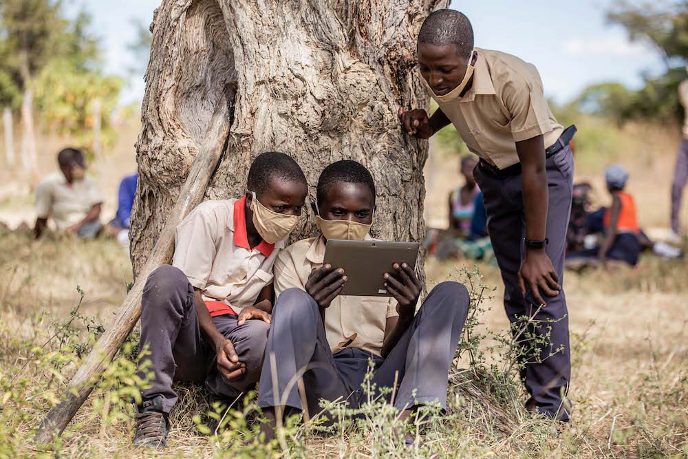 Three boys huddle around a tree and look at a tablet